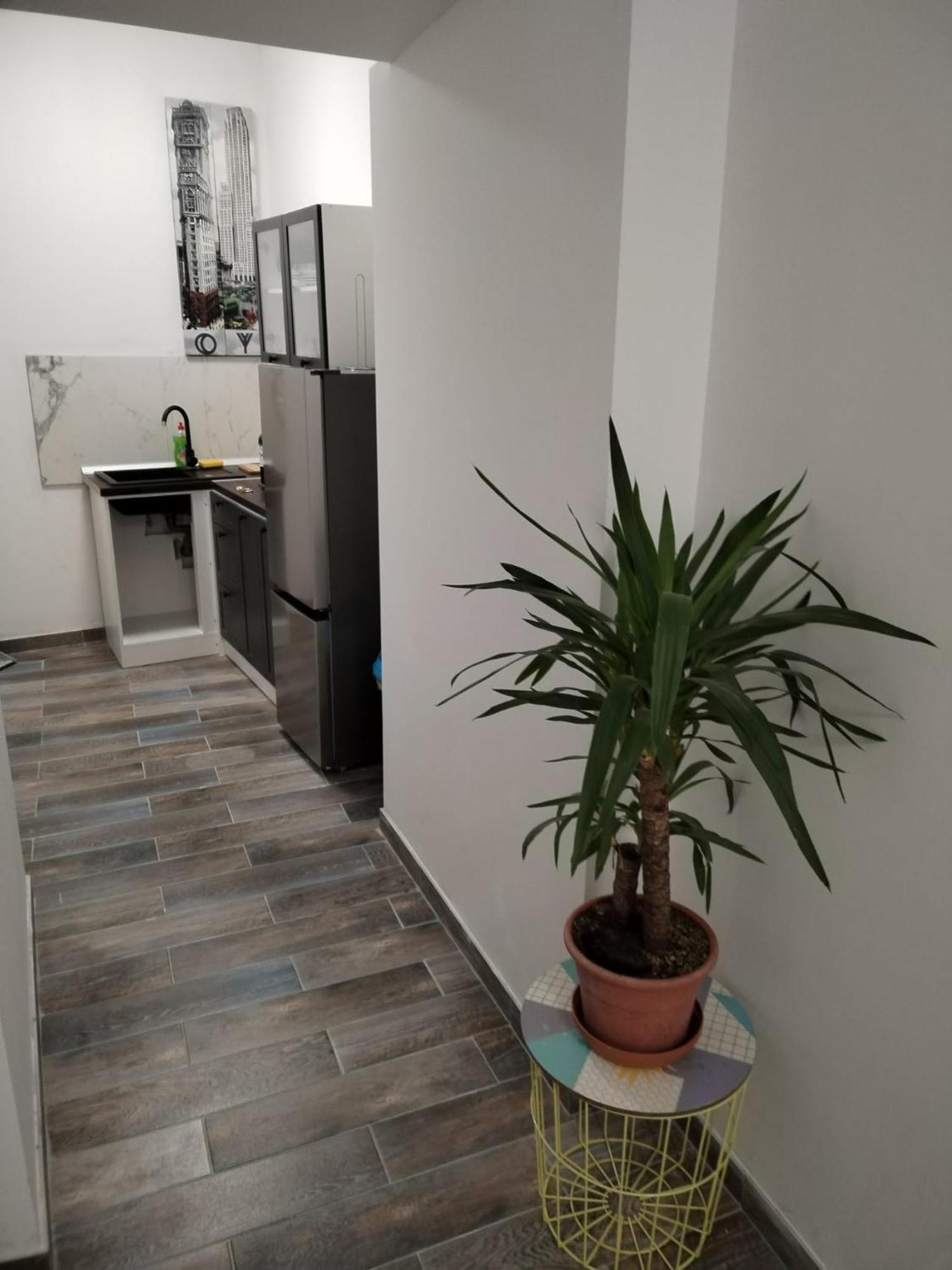 Garden In The Center Apartment สปลิท ห้อง รูปภาพ